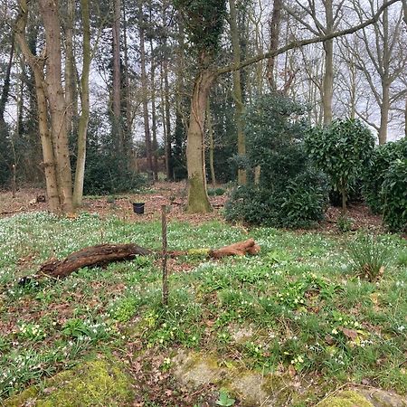 Woodland Retreat, Market Lane, Blundeston, Lowestoft Esterno foto