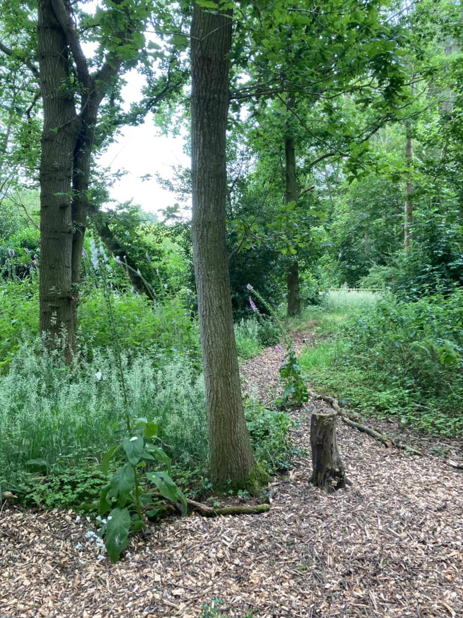 Woodland Retreat, Market Lane, Blundeston, Lowestoft Esterno foto
