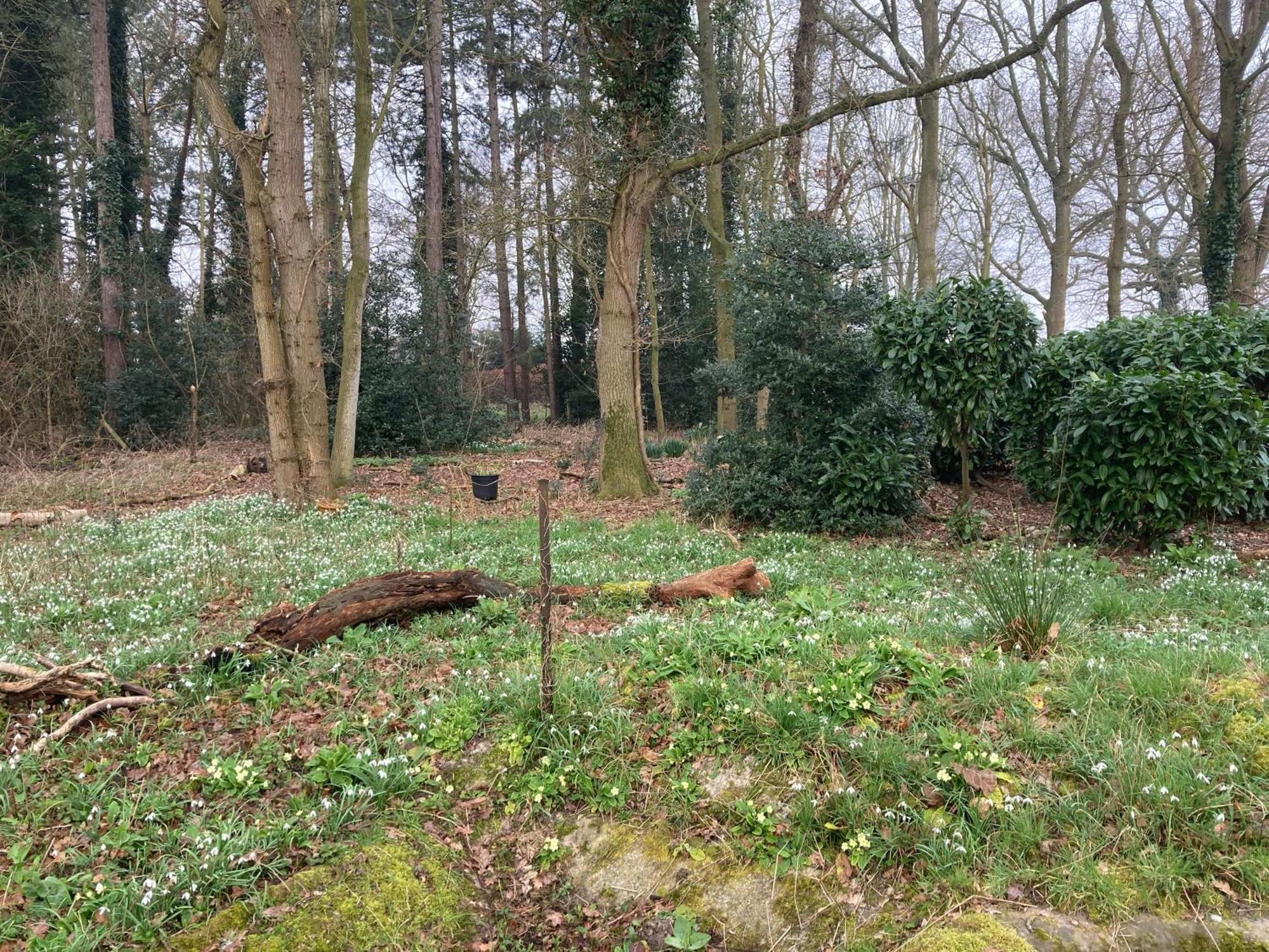 Woodland Retreat, Market Lane, Blundeston, Lowestoft Esterno foto
